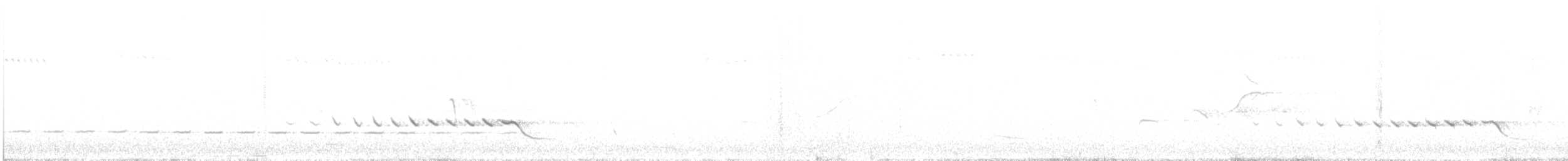 Western Whistler - ML501898191