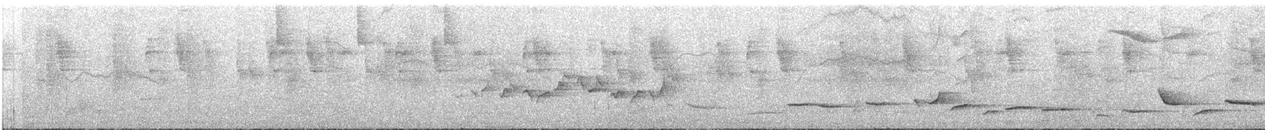 Yellow-backed Oriole - ML501930961