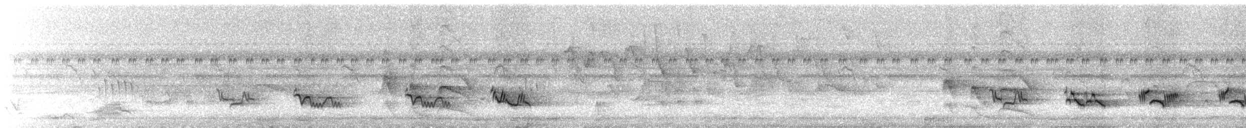 Schwarzschnabeldrossel (debilis) - ML501975431