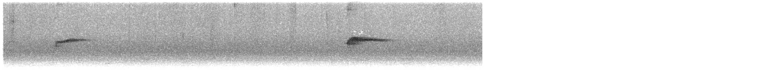 Bornean Forktail - ML502002901