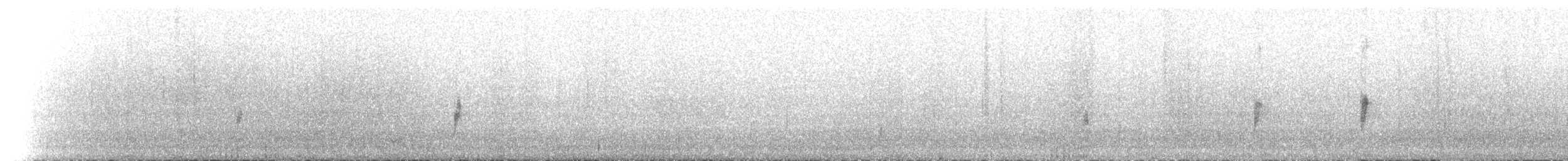 Pluvier à bandeau noir - ML502014121