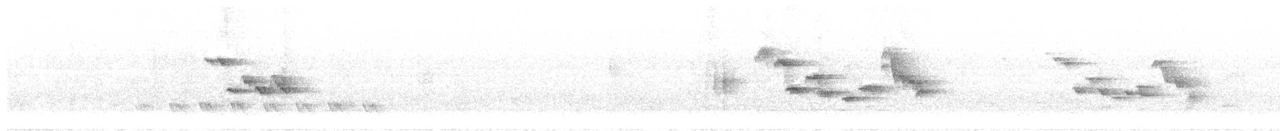 Cyornis sp. - ML502031761