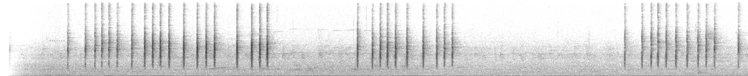 madagaskarsanger (typica gr.) - ML502035771