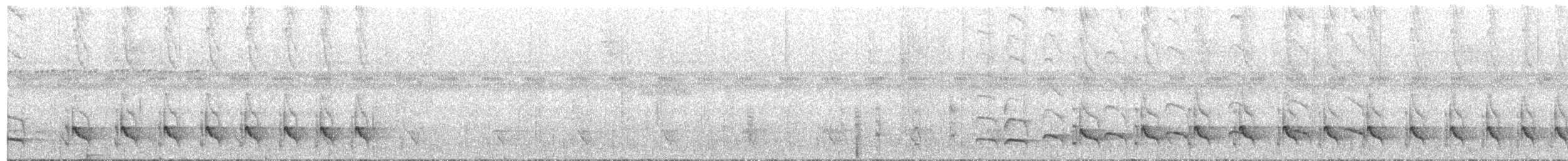 Schwarzgrau-Ameisenfänger - ML502067241