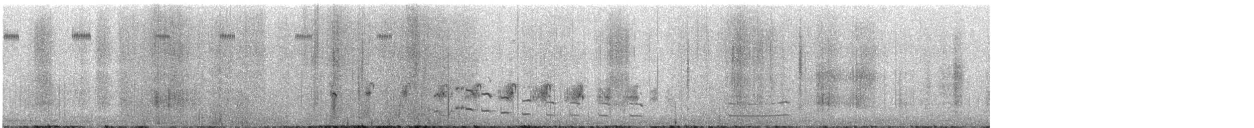 Polluela Sora - ML502121601