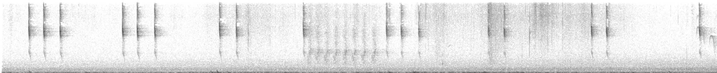 Pazifikzaunkönig - ML502154901