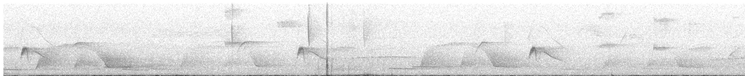 Blackish Pewee - ML502163691