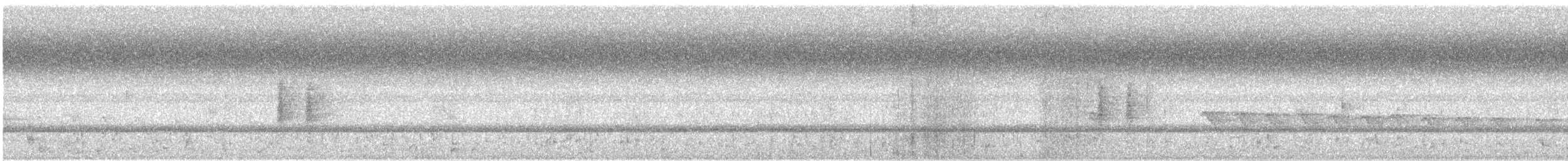 Black-winged Monarch - ML50219161