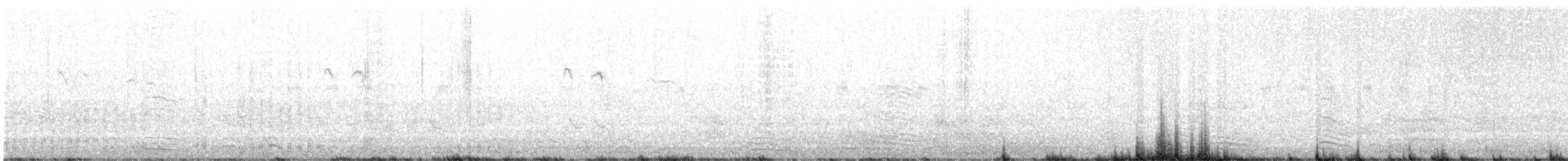 Petite Spatule - ML502272631