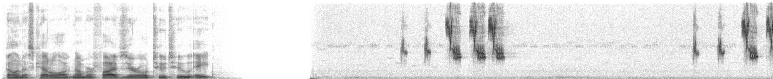 Rotschulterkardinal - ML50228