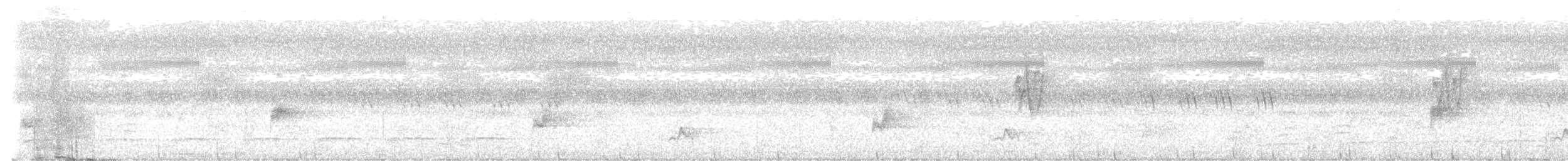 Белощёкая лесная куропатка - ML502316121