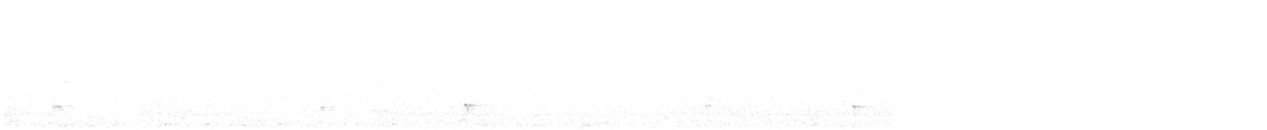 strakapoud bělohřbetý - ML502347891