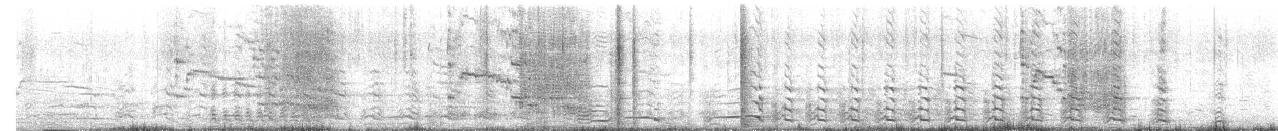 Yellow-legged Gull - ML502382521