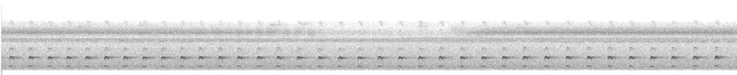 Choco Tapaculo - ML502391591