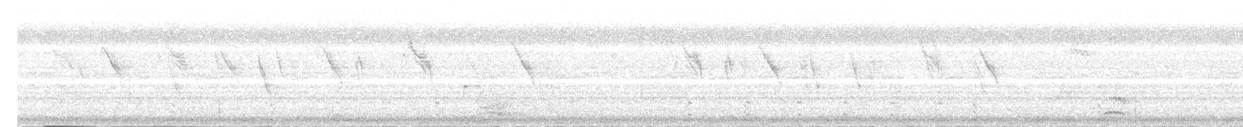 svarthodevever - ML502401221