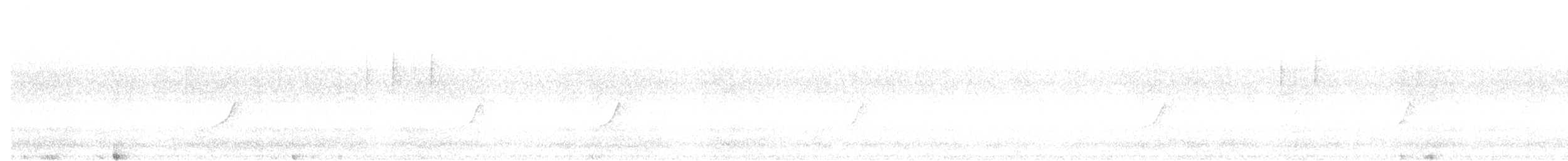 budníček větší - ML502422901