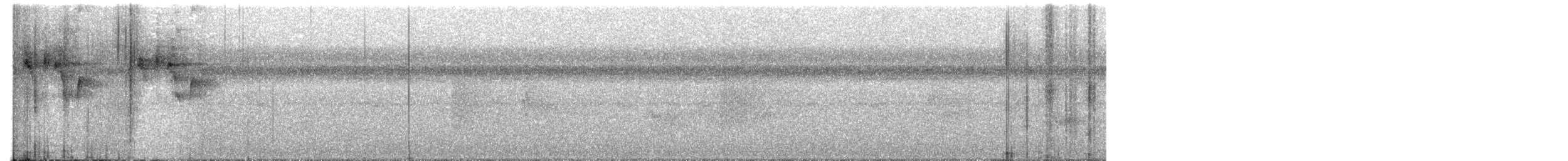 White-whiskered Puffbird - ML502426691