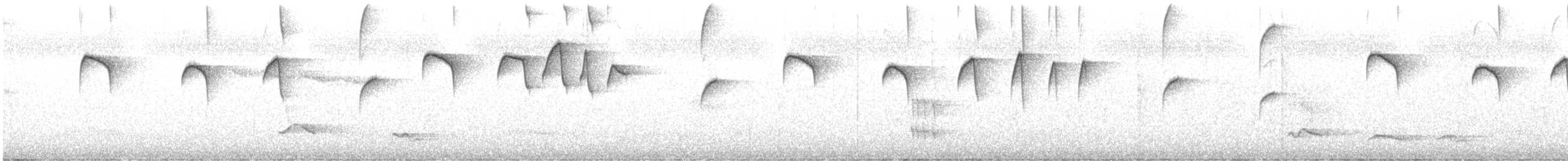 Коричневый колибри-отшельник - ML502458471