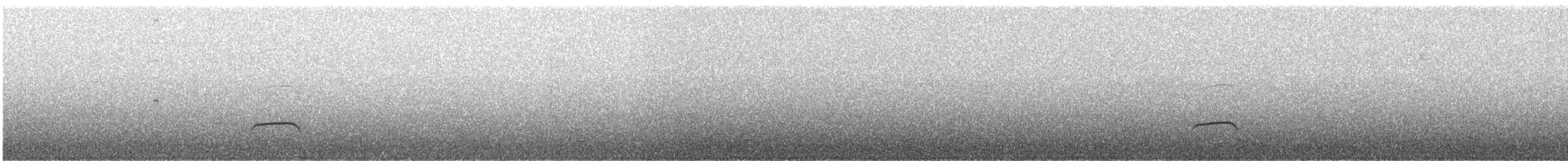 Пестрогорлая гевара - ML502472831