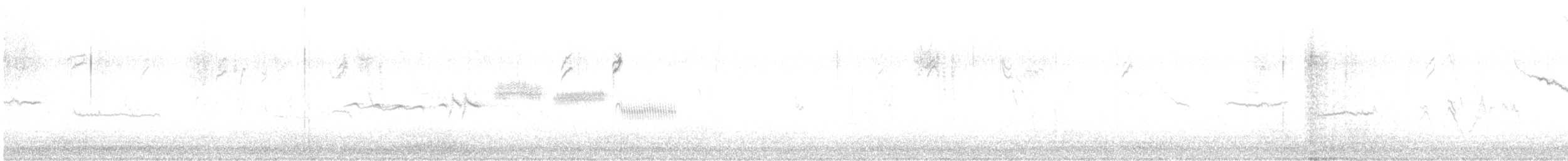 strnadec bělopásý - ML502492181