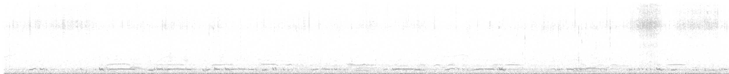 Лебідь чорнодзьобий (підвид columbianus) - ML502528611