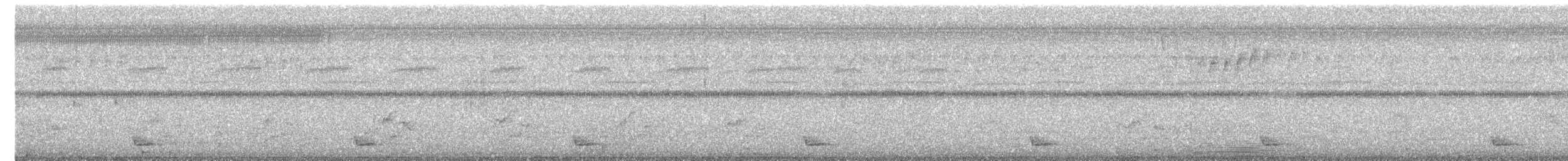 オビオヨタカ - ML502552511
