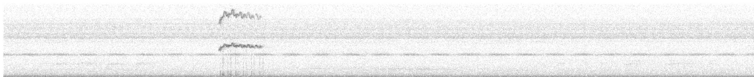 Fleckschwanz-Nachtschwalbe - ML502553971