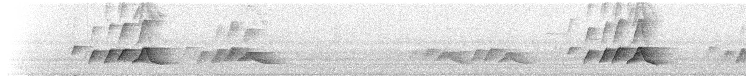 White-eared Sibia - ML502582141