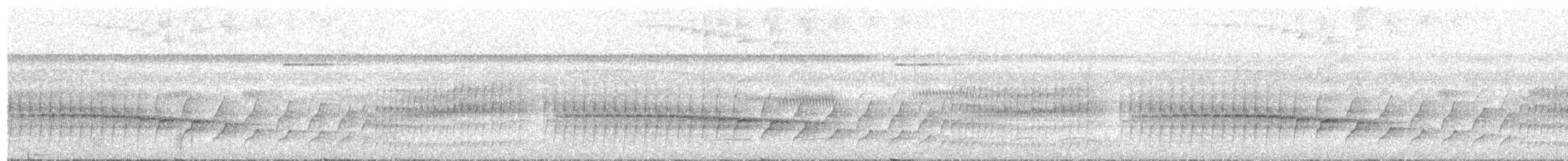 Black-tailed Leaftosser - ML502594881