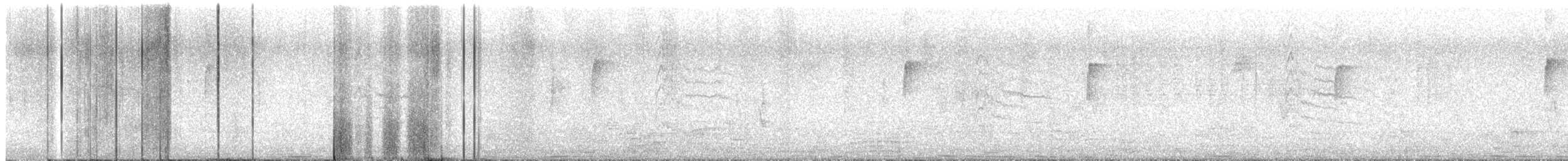 Дрізд-короткодзьоб плямистоволий - ML502606451