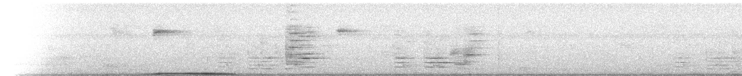 Carpophage argenté - ML502620641