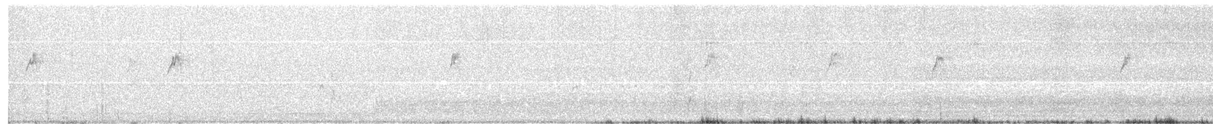 Water Pipit - ML502669431