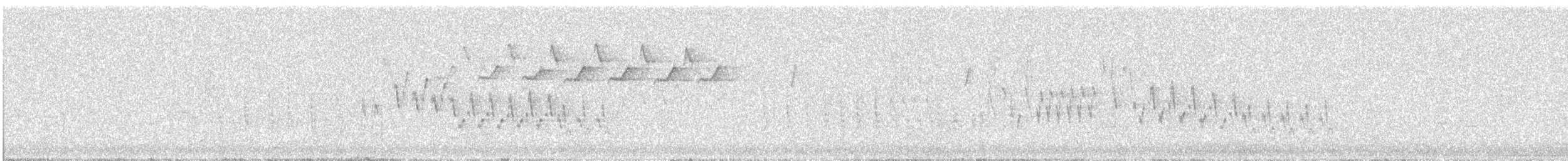Northern House Wren - ML502724461