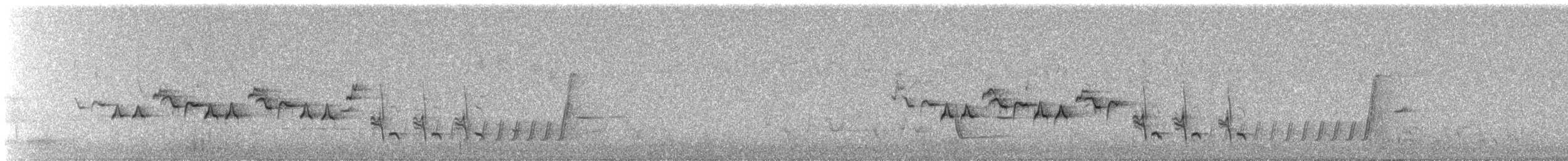 Séricorne timide - ML502751011