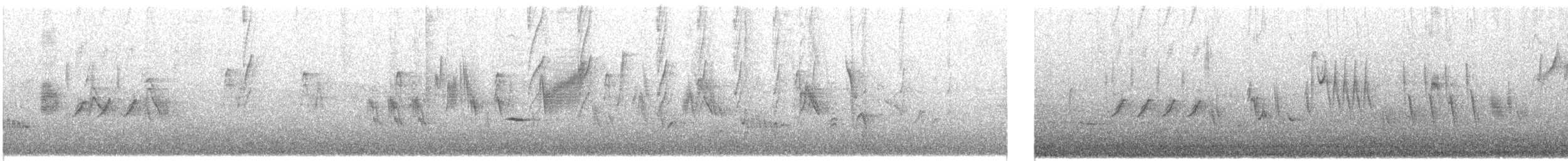 Yellow Canary - ML502858201