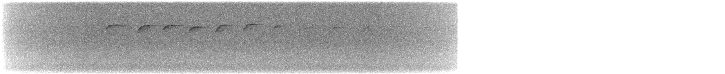 Kestane Sırtlı Çilardıcı - ML502858971