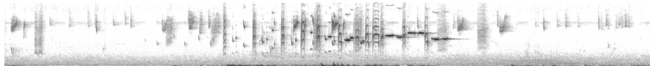 Rhipidure gris - ML502861741