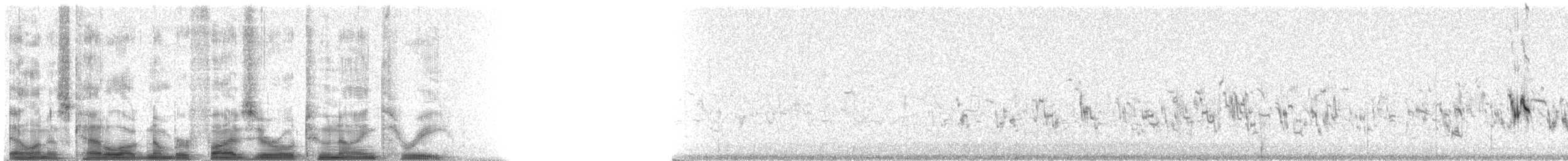 Plectrophane à ventre gris - ML50293