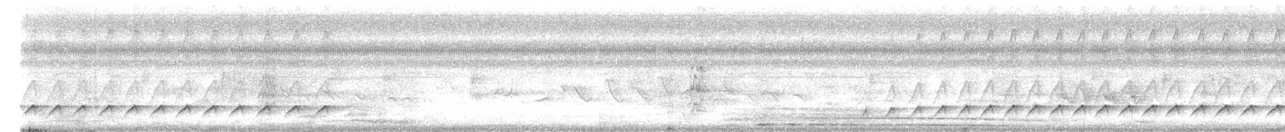 Weißaugen-Attilatyrann - ML502966071