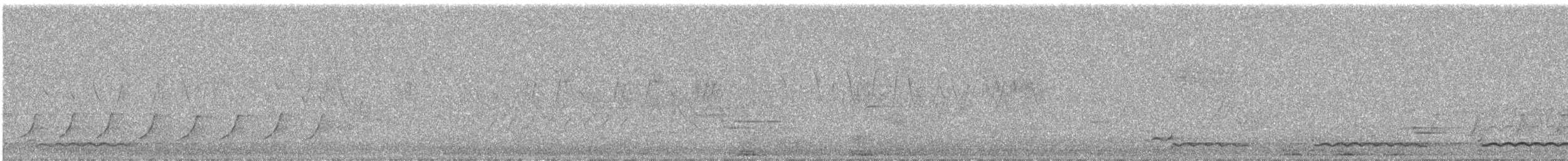 Common Loon - ML503049361