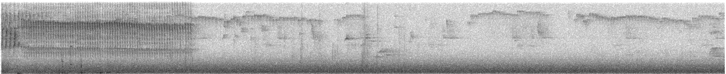 Pseudocolapte de Boissonneau - ML503087931