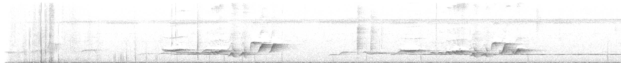 Белопоясничный шама - ML503191601