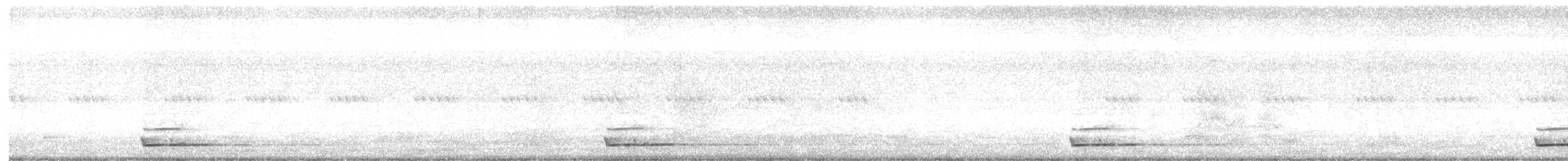 Eurasian Scops-Owl - ML503213541