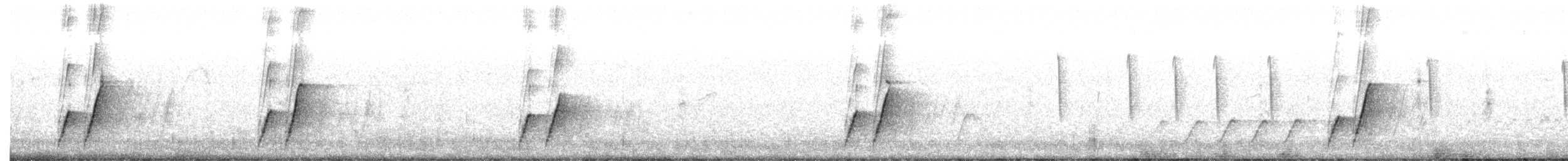 Curve-billed Thrasher - ML503268981