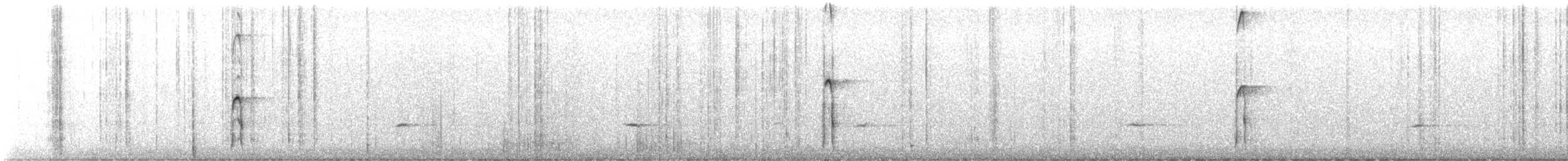 Haarspecht (orius/icastus) - ML503288311