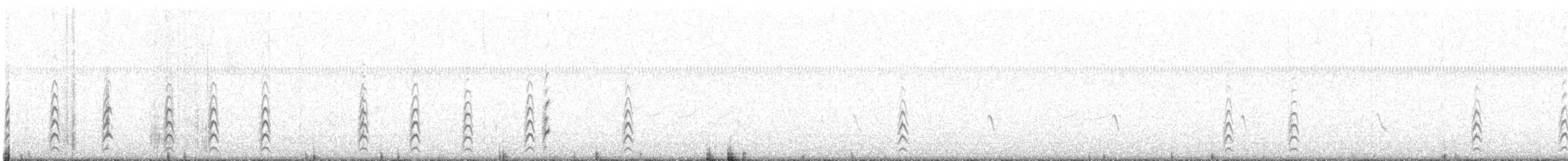 svartkronestylteløper (mexicanus) - ML503298991