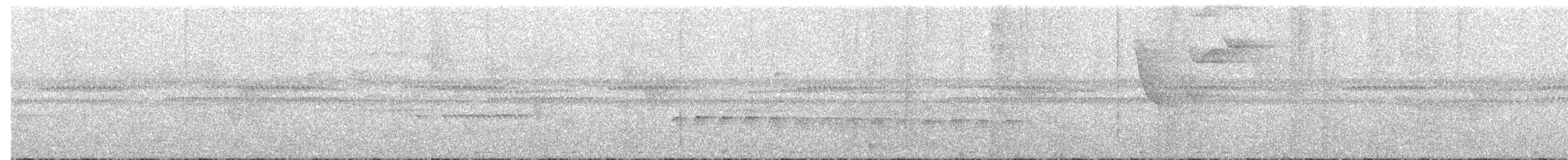 Western Fire-eye - ML503426541