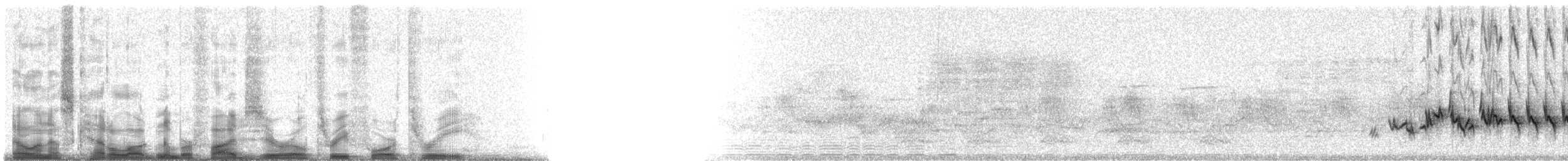 purpurfink (californicus) - ML50343
