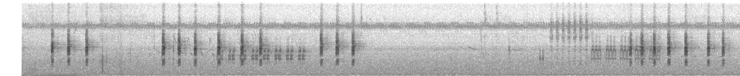 Troglodyte de Latham - ML503449201