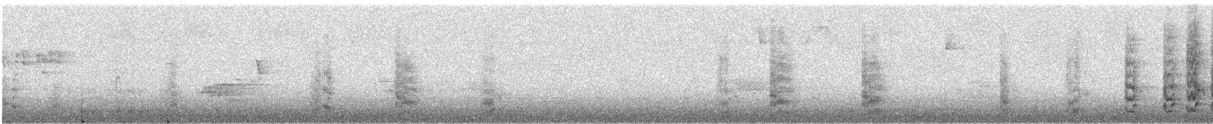 ズアカウロコインコ - ML503471281